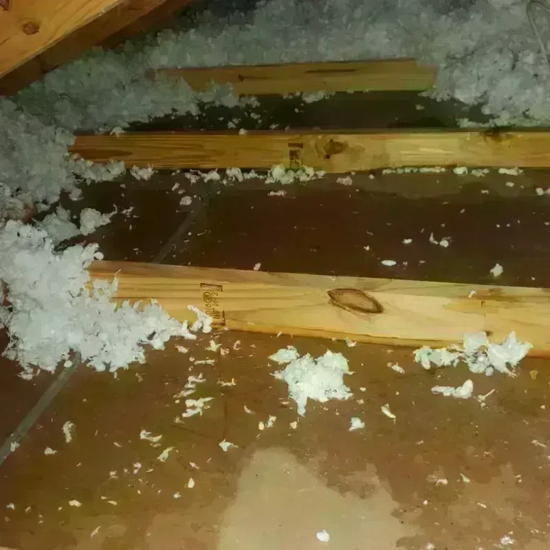 Attic Water Damage in West Pasco, WA